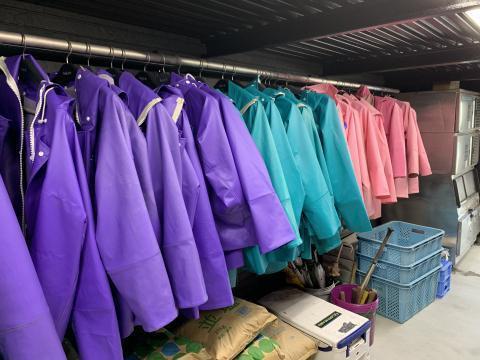 s1589001720-3-5217jpeg